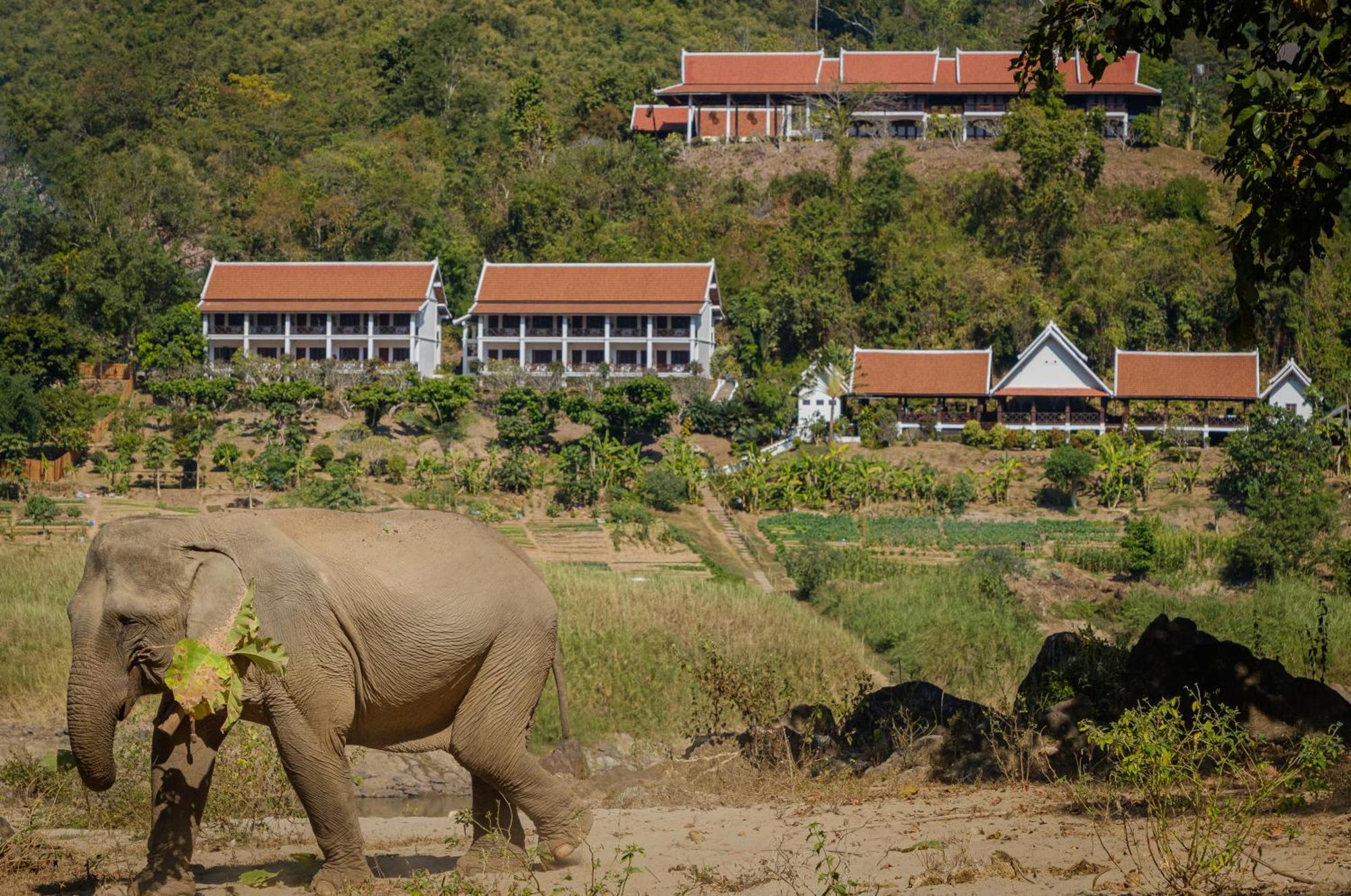 The Sanctuary Pakbeng Lodge Bagian luar foto